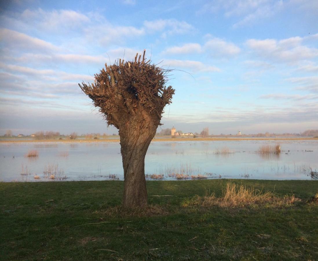 Unique place on the river Waal Heerewaarden Extérieur photo